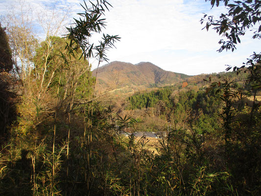 峰山を巻いて行く植林帯の道は少々荒れていたが、向こうに石砂山（いしざれやま）が見えてきた