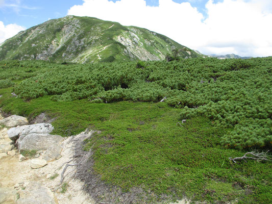 最後のピーク　双六岳の山頂部が見える