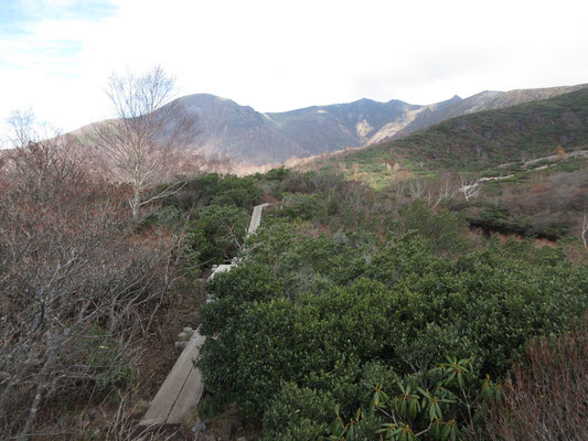 木道は200ｍほど続いているが、行く手には那須岳主峰から連なる稜線とこんもりとした三本槍岳が見える