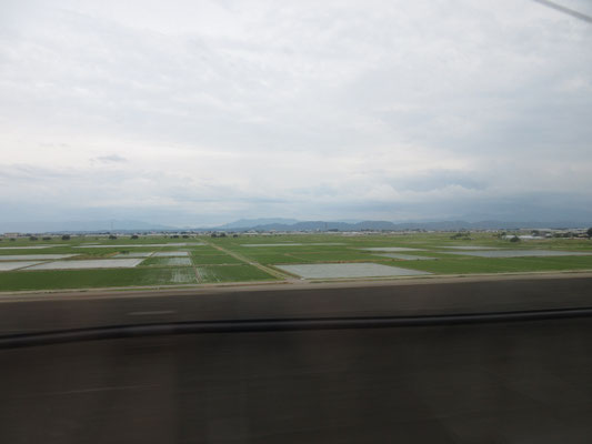 そんなこんなで充実した新潟 帰路の新幹線からふと眺めれば、早苗の田んぼが広大に広がっていた とてもいい旅でした