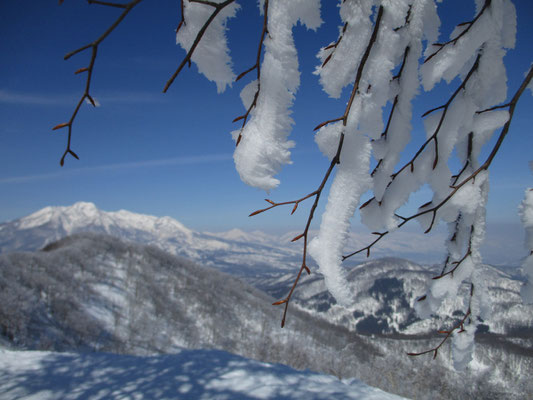 霧氷の向こうに妙高山