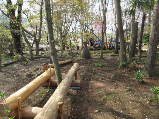 この春、事務局が館山内の杉の木を沢山伐採した　その木で作った丸木のベンチ
