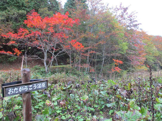 季節ごとにさまざまな草花を楽しめるように整備されている