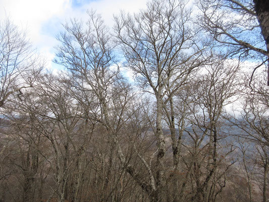 寒いなか、うっすらと青空が垣間見える