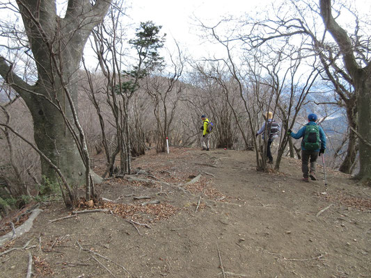 一息つくと、荻野高取山に向かい出発　大タルミと呼んでいる眺めもいい気持ちのよい場所