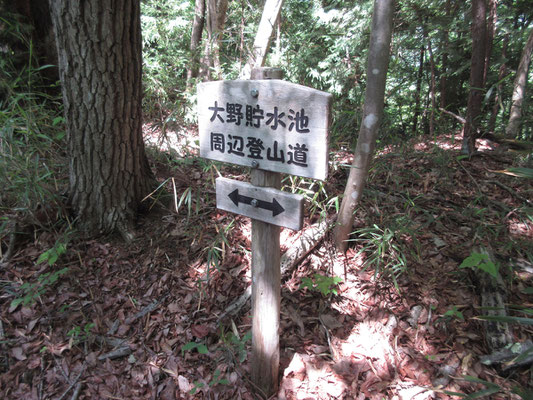 急な下りを一気　途中にこんな標識がある　周辺登山道として整備されている