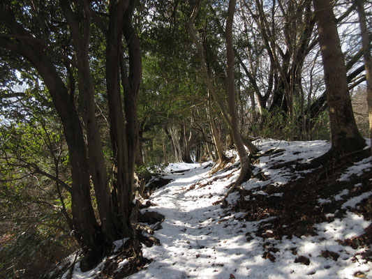 あと数日以内に融けてしまいそうな雪だが、今日は誰も歩いていない