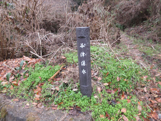 渋沢駅から住宅街の丘を登って下ると、この「谷津浄水」に出合う