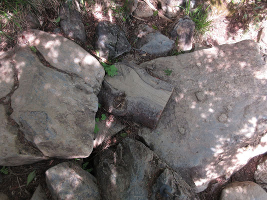 工夫された登山道2（ちょっと板があるだけで、足の運びが楽）