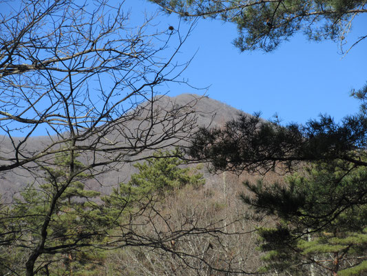 これでは草葉の陰で、深田久弥も泣くに泣けないだろう