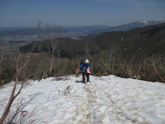 パラパラと登山客　下界の越後平野を見下ろすようになる