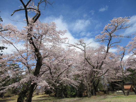 本丸のあった上の広場に到着