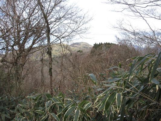 ゆるゆると登っていくと、後ろに湖尻峠向こうの丸岳方面が見えてくる