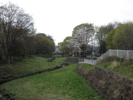 和泉川の散策コース始まり