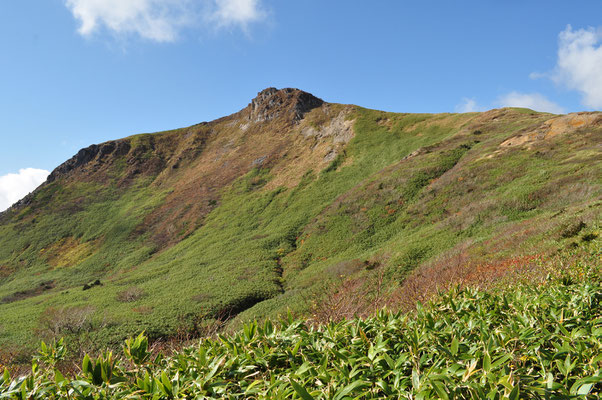 時間の余裕があるので、眼下に広がる湿原や笹原を向かいの笹森山に向かって二時間ほどの散策　反対側からの乳頭山の姿