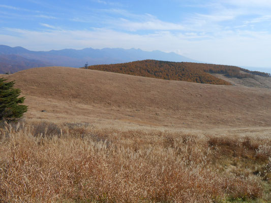 カシガリ山と遠望八ヶ岳