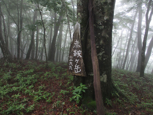 かなり大きな看板　上げるだけでも大変だったろうし、設置も考えられている