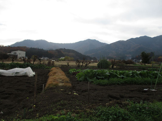 下界に下りて、西山方面を見る　左に荻野高取山　そして中央に双耳峰の華厳山　右端のピラミダルなのが経ヶ岳