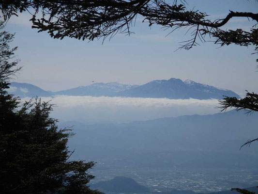 山頂付近からは妙高山が雲上に見えました