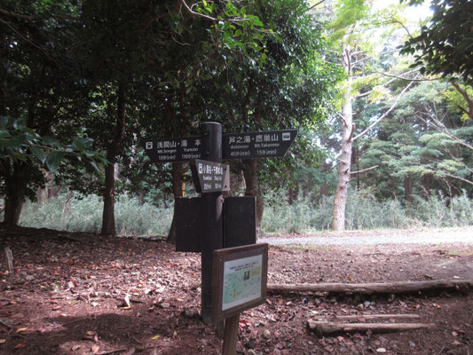 いろいろ観察しているうちに、鷹ノ巣山への登りと浅間山への分岐の車道出合いに着く