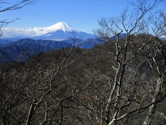 加入道山からの富士山