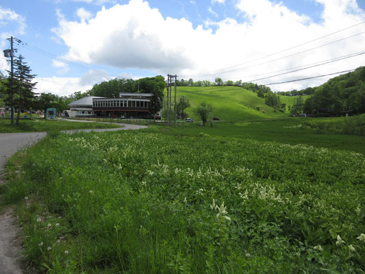湿原がダメで頭を切り替え、木崎湖畔の山の上へ道路を登って行くと〜・・・突然空が開け、大スキー場に！