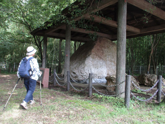 野球場などの屋外施設の先、資料館の裏に回ると園内から採集された超大きなシロウリガイ類の化石層が展示されている　＜今から300万年前、このあたりは水深約2000メートルの深海底だった　そこに生息していたのがこのシロウリガイ類で、世界でもまれな化石層という説明＞