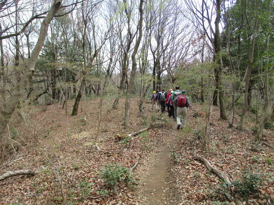 お昼の一等席に向かい気持ちのいい雑木の道を行きます