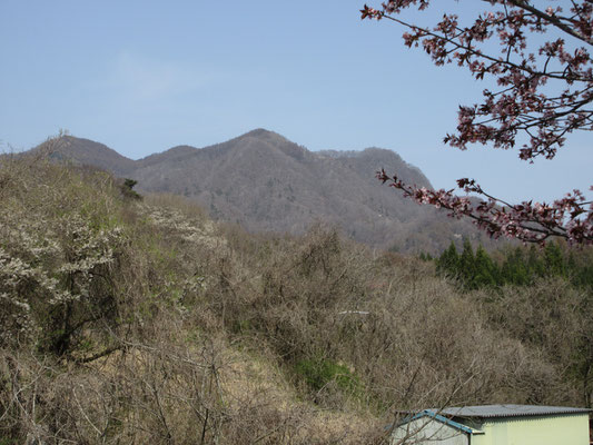 下山後、村内より虫倉山を見る