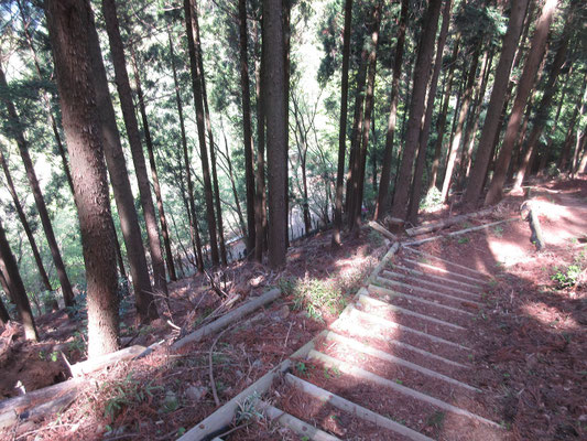 下の方に法華林道が見えてくる