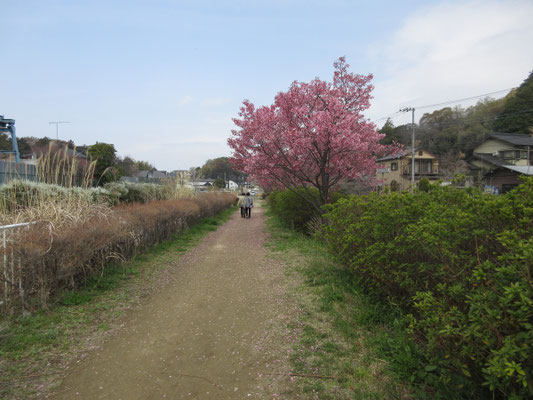 まだ散策路は続く