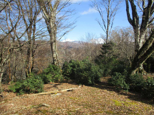 登尾山頂から遠く天城山の万三郎岳が見える