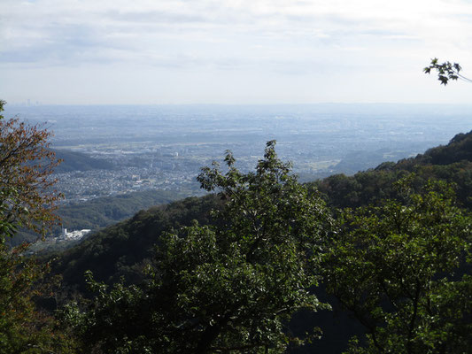 ここまで登ってくると、厚木市街方面が広々と見下ろせる