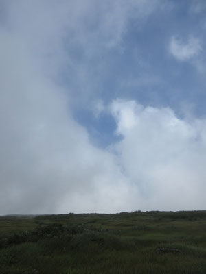 強風に乗って雲（霧）が時々ちぎれて青空も見えたりする　どちらにしても天候は回復に向かっているようだが…
