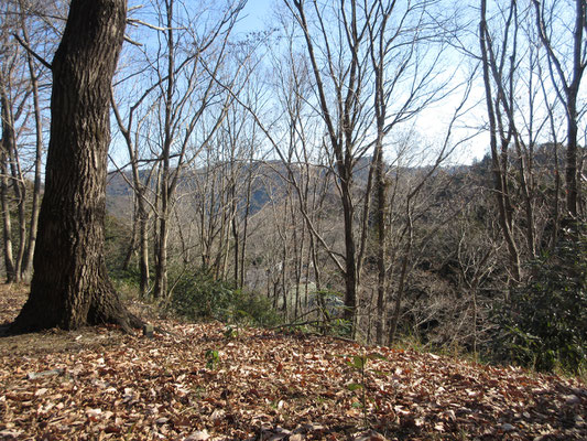 ここは晩秋から早春までがベストシーズン　春には一帯に植えられた早咲きの桜が満開となる名所