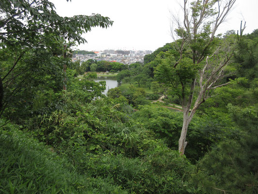 こちらは北側方面　園内の大池とその向こうには本牧の住宅地が見える