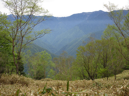 進んでいくとのっぺりした山稜が現れる