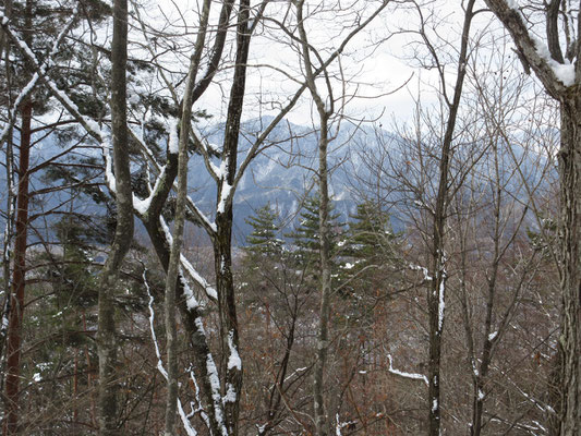 木立越しに見えるのは手前の山並み　やはり後立山連峰は見えそうにない…