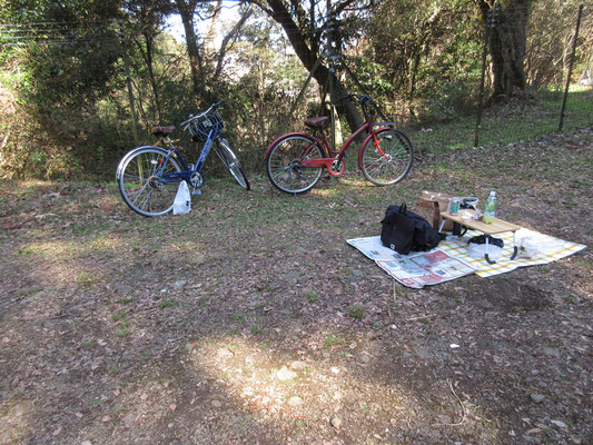 沢山の人が入山したり下山するなか、ちいさなお座敷セット？を自転車で持参し、ず〜っと寛いでいた若者二人　いいな〜、こんな楽しみ方もあるんだ…とちょっと感動