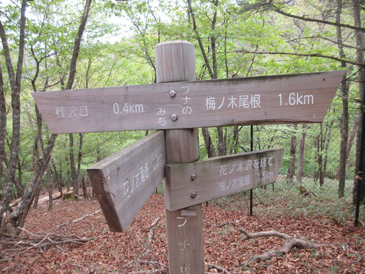 経路の標識　分かるようで分かりにくい　