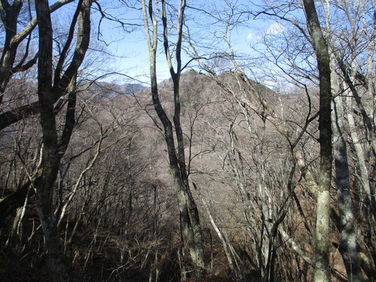 雑木ノ頭から下り始めると、さきほどの山頂も遠くなってくる