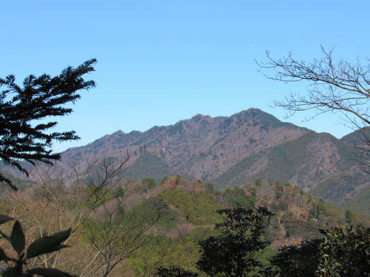 木が切れたところからきれいに見えた仏果山方面