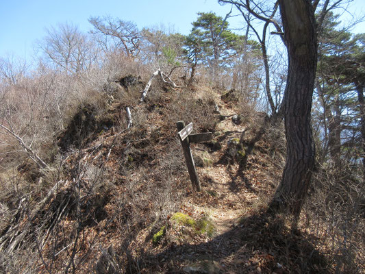 分岐　右の急斜面下は岩谷神社につづく