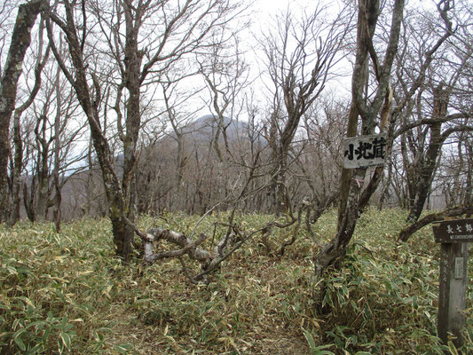 静かな小地蔵岳山頂