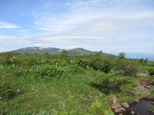 目を転じればこれから向かう西吾妻山