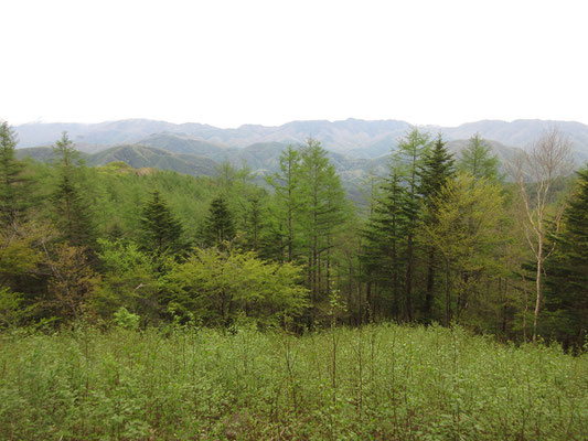 朝よりずっと回復して明るくなった空　東京都の水源林のある山並みがきれいに見える
