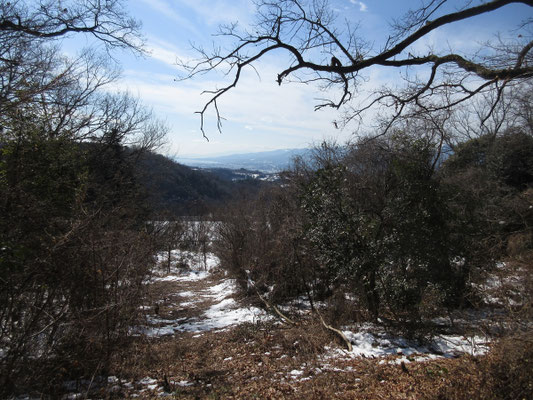 ビュースポットからの眺望 真鶴半島や相模湾が見渡せる