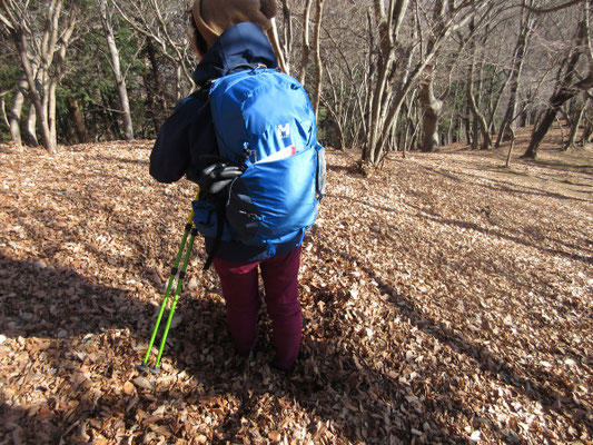 落ち葉が足元を埋めるほど