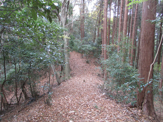 途中の岩倉分岐から平山坂上バス停に向けて行く　このコースは踏み跡を拾いながらだが、歩きやすく西山でも一味違う秀逸なコース