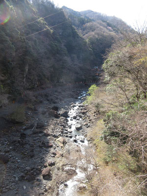 上流部の流れは自然のままだが、この下流は工事ですごい事になっている
